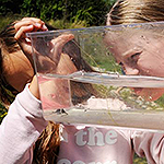 Kinder heben kleines Aquarium und schauen, was sich drin befindet