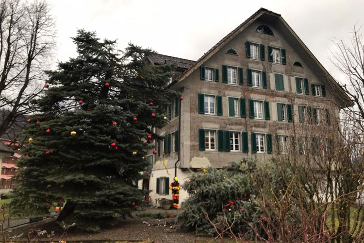 Doch auch der Tanne beim Mettenweg hat die letzte Stunde geschlagen..