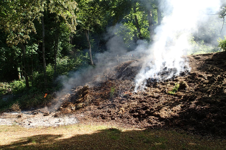 Wegen dem dauerhaft heissen Wetter herrscht akute Waldbrandgefahr. Motthaufen wie jener am 27. Juni beim Kollegi sind eine Gefahr.
