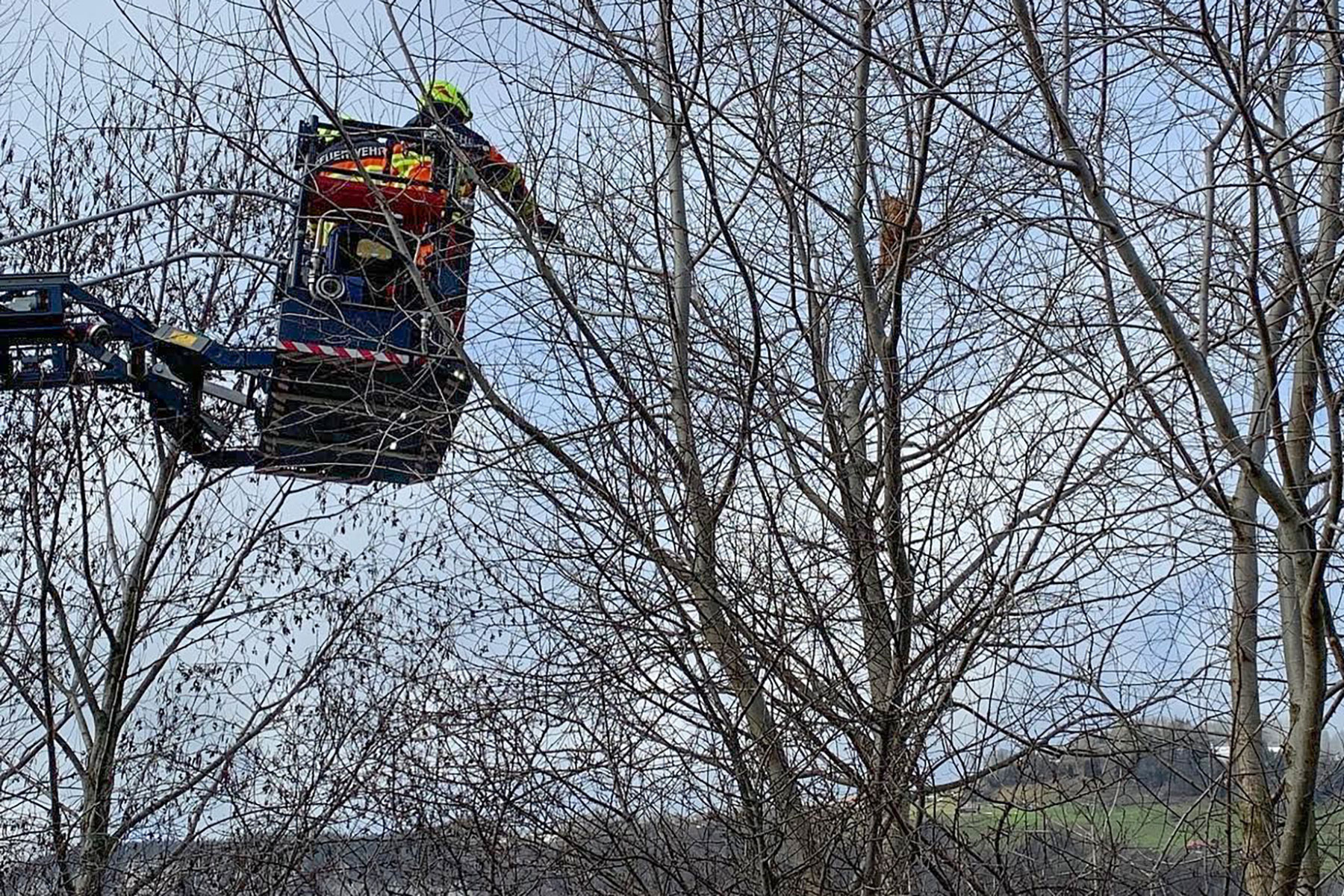 Das Sonntagspikett unterstützt die Feuerwehr Buochs-Ennetbürgen bei der Rettung einer Katze am Aawasserdamm.