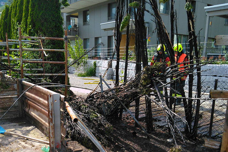 Die Autodrehleitergruppe rückt wegen einer brennenden Hecke nach Ennetbürgen aus.