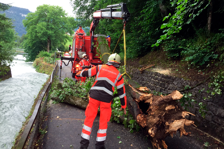 In Oberdorf muss ein umgestürzter Baum weggeräumt werden.