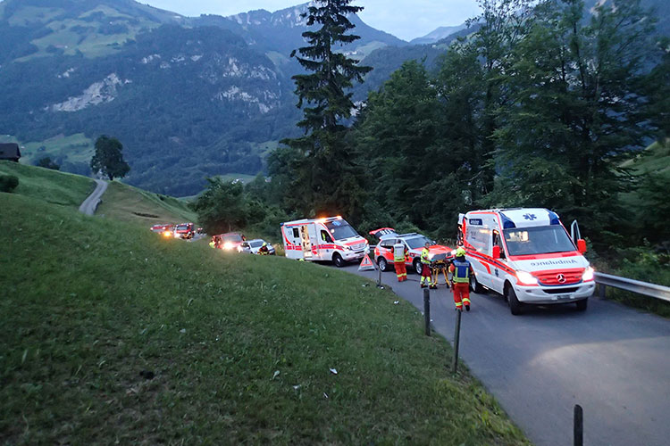 Auf der Wiesenbergstrasse in Dallenwil kollidiert ein Auto mit einem Baum und zwei Fahrzeuginsassen verletzen sich. 
