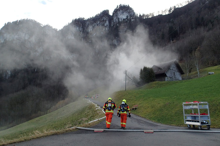 Die Autodrehleitergruppe unterstützt die Feuerwehr Hergiswil beim Brand in einem Holzhaus.