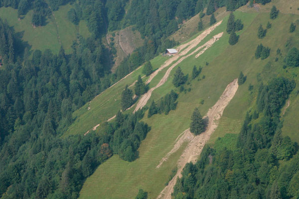 Kaum irgendwo im Engelbergertal gibt es Hänge, die nicht versart sind.