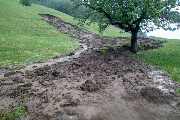 Am Bürgenberg kommt an mehreren Stellen der Hang ins Rutschen.