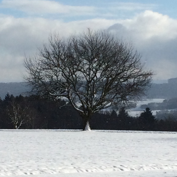 Impressionen aus Mandach