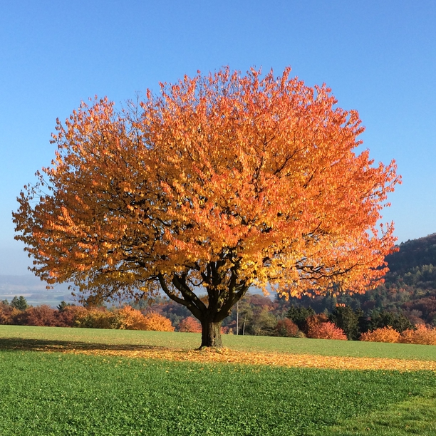 Impressionen aus Mandach