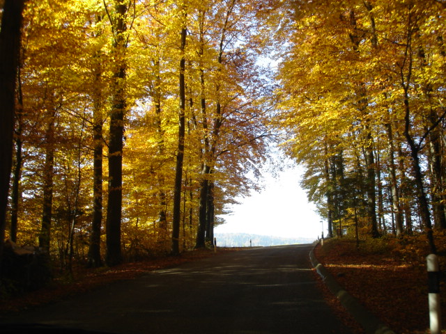 Impressionen aus Mandach