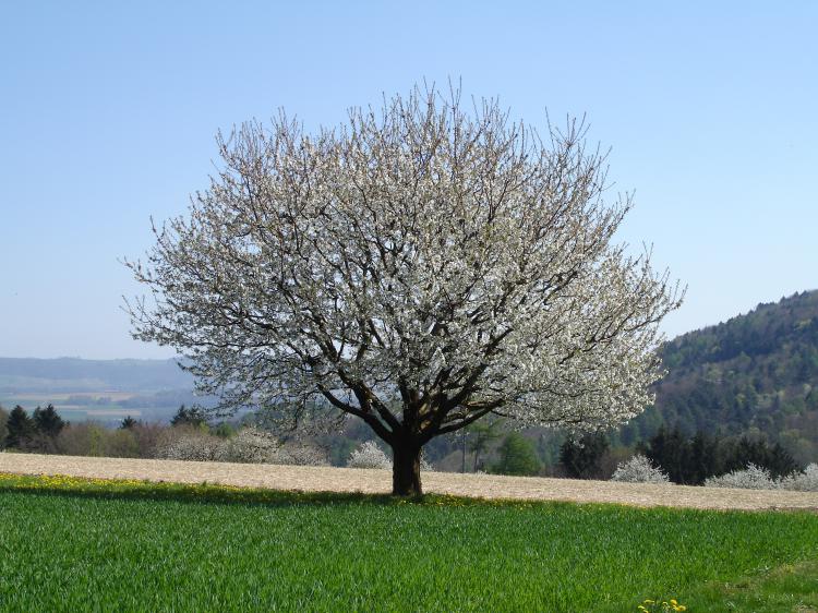 Impressionen aus Mandach