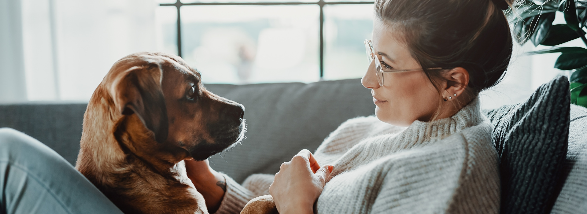 Eine Frau sitzt mit ihrem Hund auf dem Sofa.