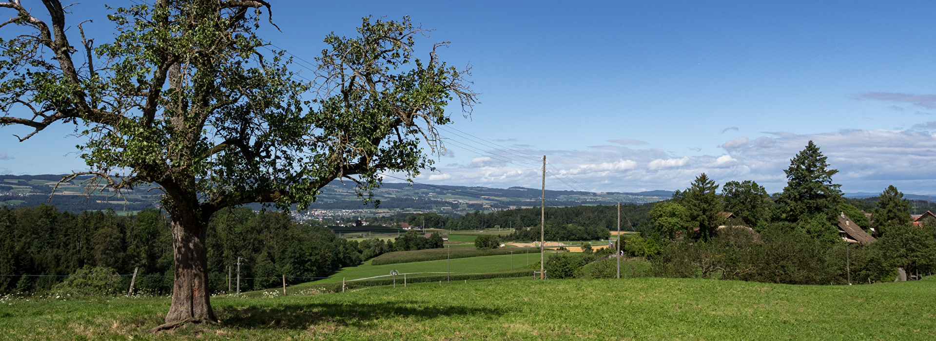 Panoramaaufnahme des Bezirks Affoltern.