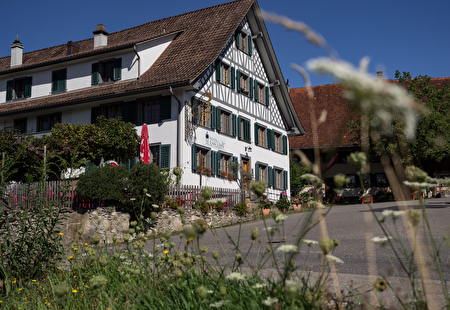 Restaurant Osteria del Massaro Elia in Maschwanden.