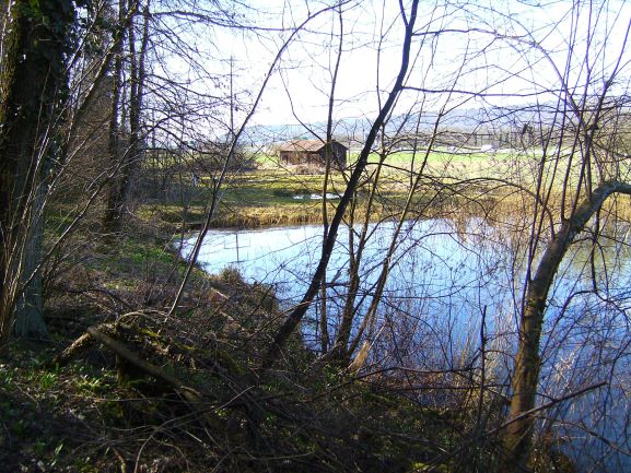 Naherholungsgebiet