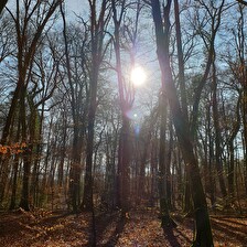 Sonnenaufgang
