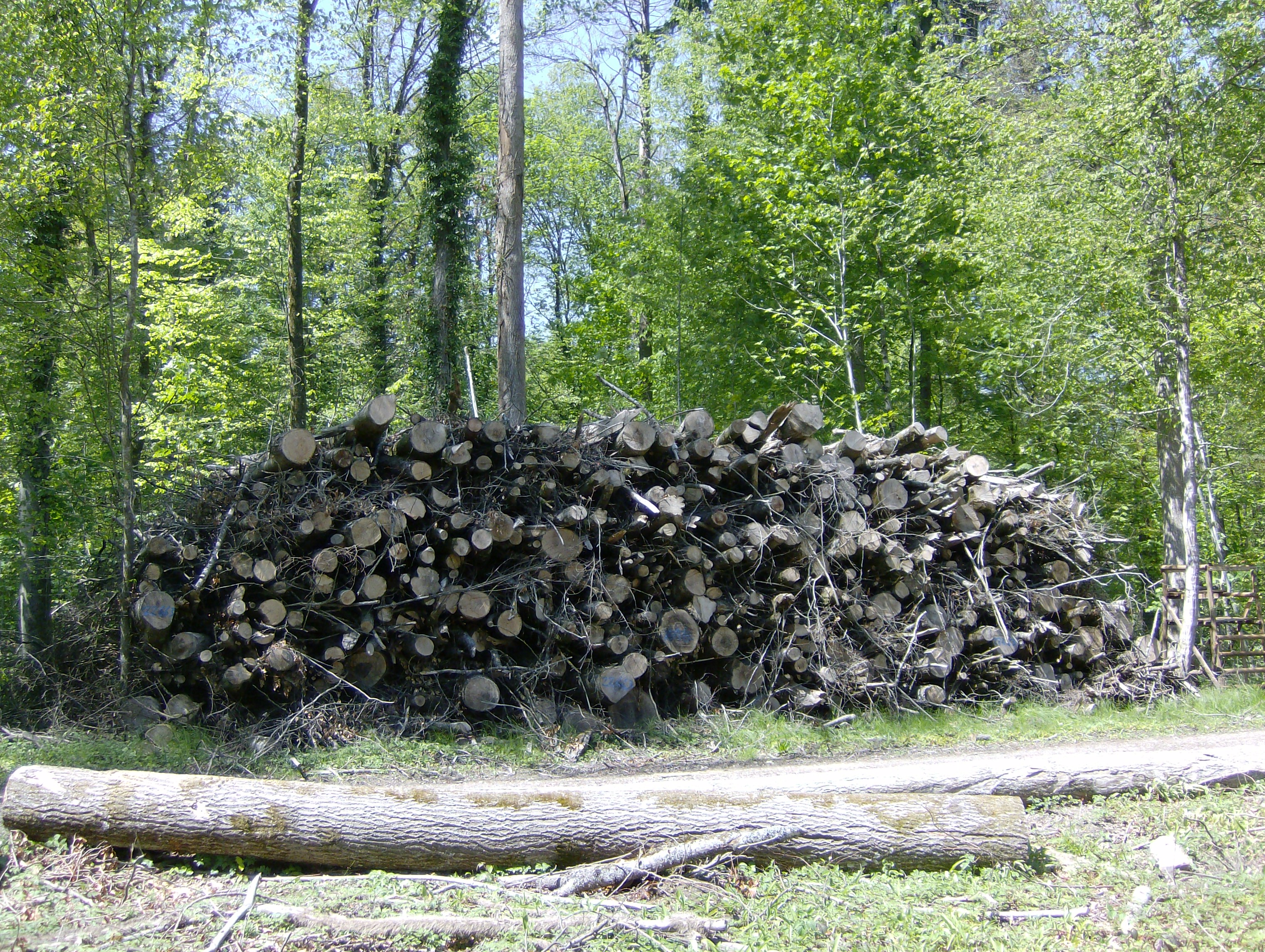Brennmaterial