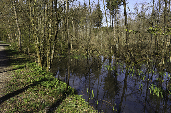 Wasserloch