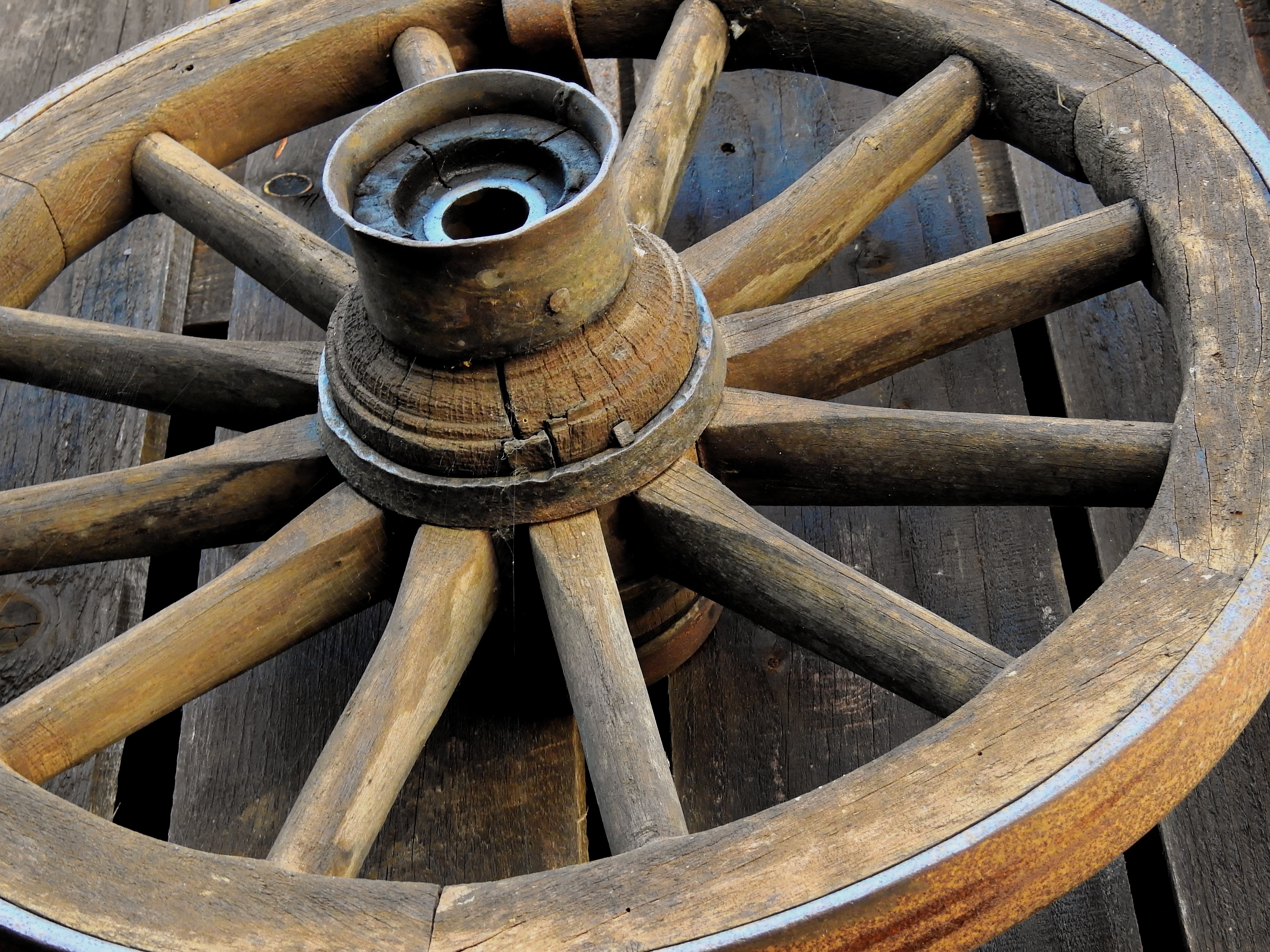 Eichenholz Wagenrad