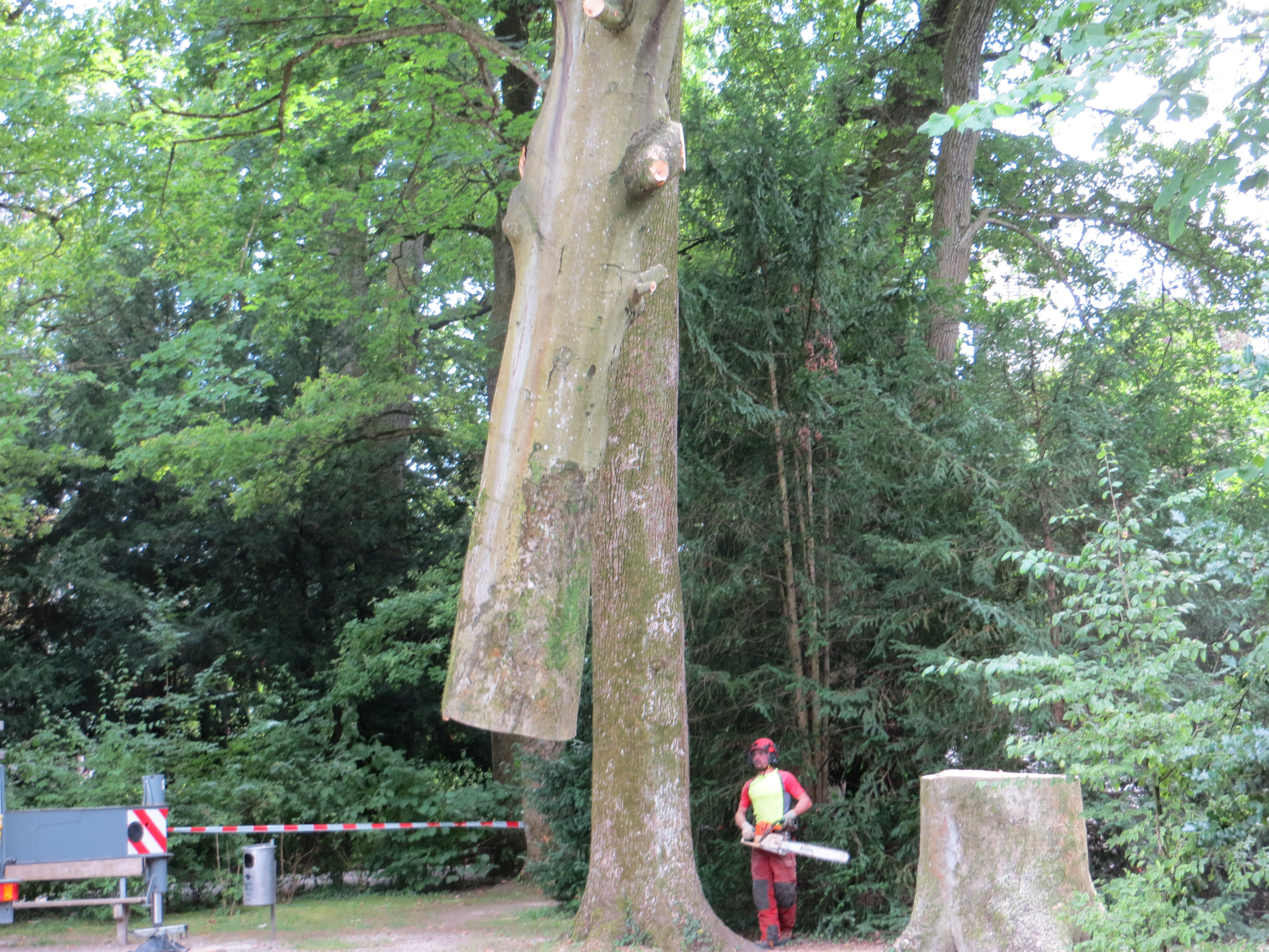 Speziealholzerei