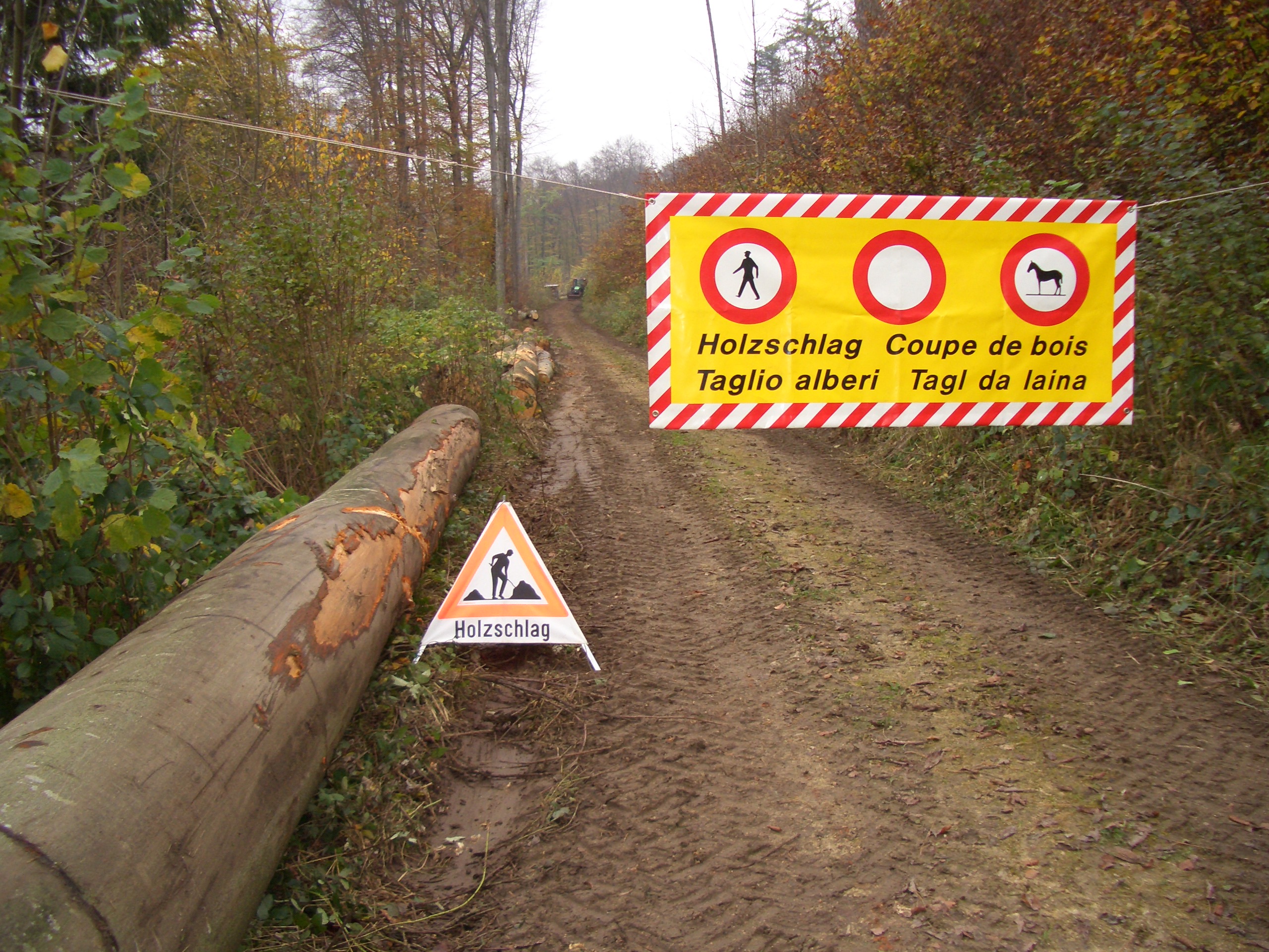 Absperrung bei Holzschlag
