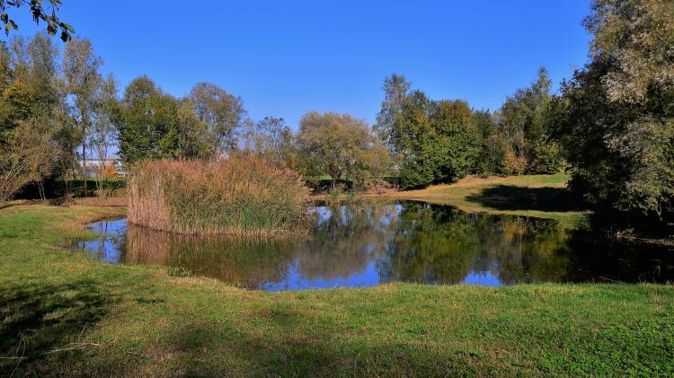 Naturschutzgebiet Schuppis