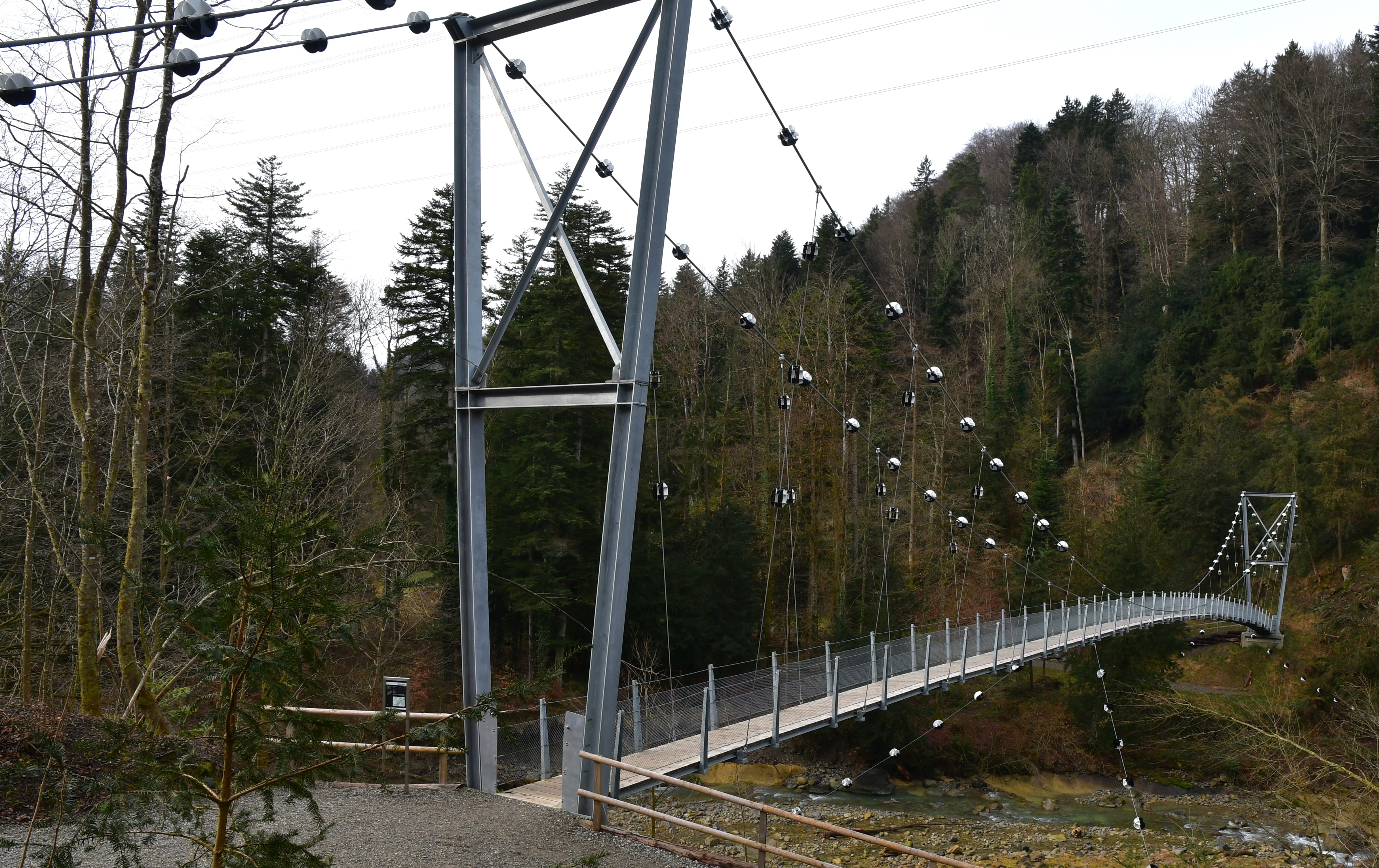 Hängebrücke im Rantelwald