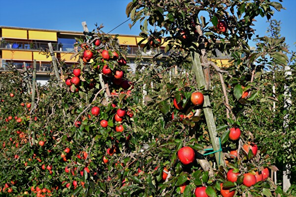 Landwirtschaft