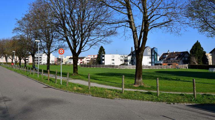 Breitenwiese