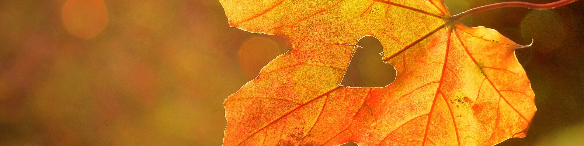 Herbst