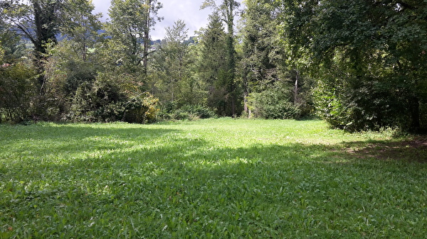 Zeltplätze Forstwald 1 und 2 liegen in Waldlichtungen