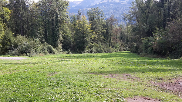 Zeltplatz Forstwald 2 liegt in einer Waldlichtung