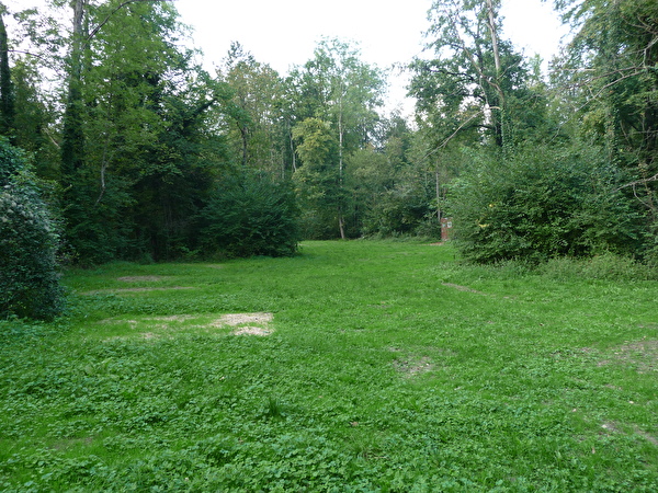 Zeltplatz Forstwald 1 liegt in einer Waldlichtung