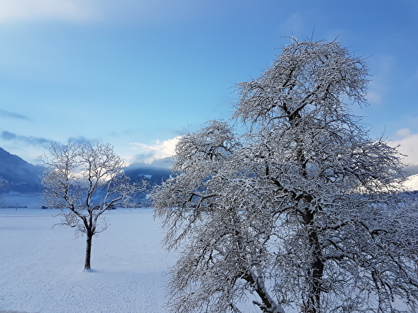 Winterlandschaft