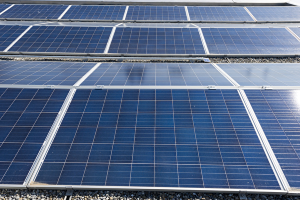 eine PVA in Steinhauen