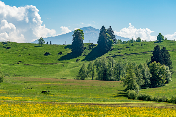 Aussicht Zugerberg