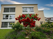 Haus Meiligut
