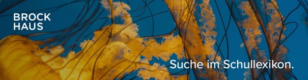 Brockhaus Schullexikon