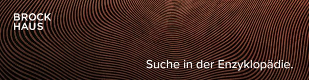 Brockhaus Enzyklopädie