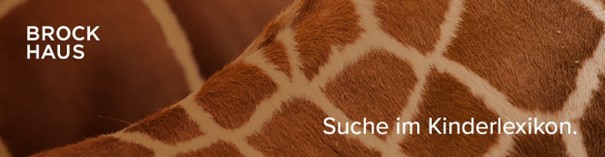 Brockhaus Kinderlexikon