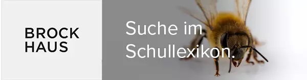 Brockhaus Schullexikon
