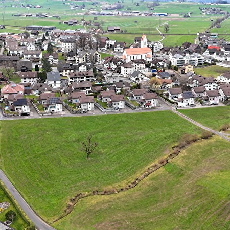 Adlerwis