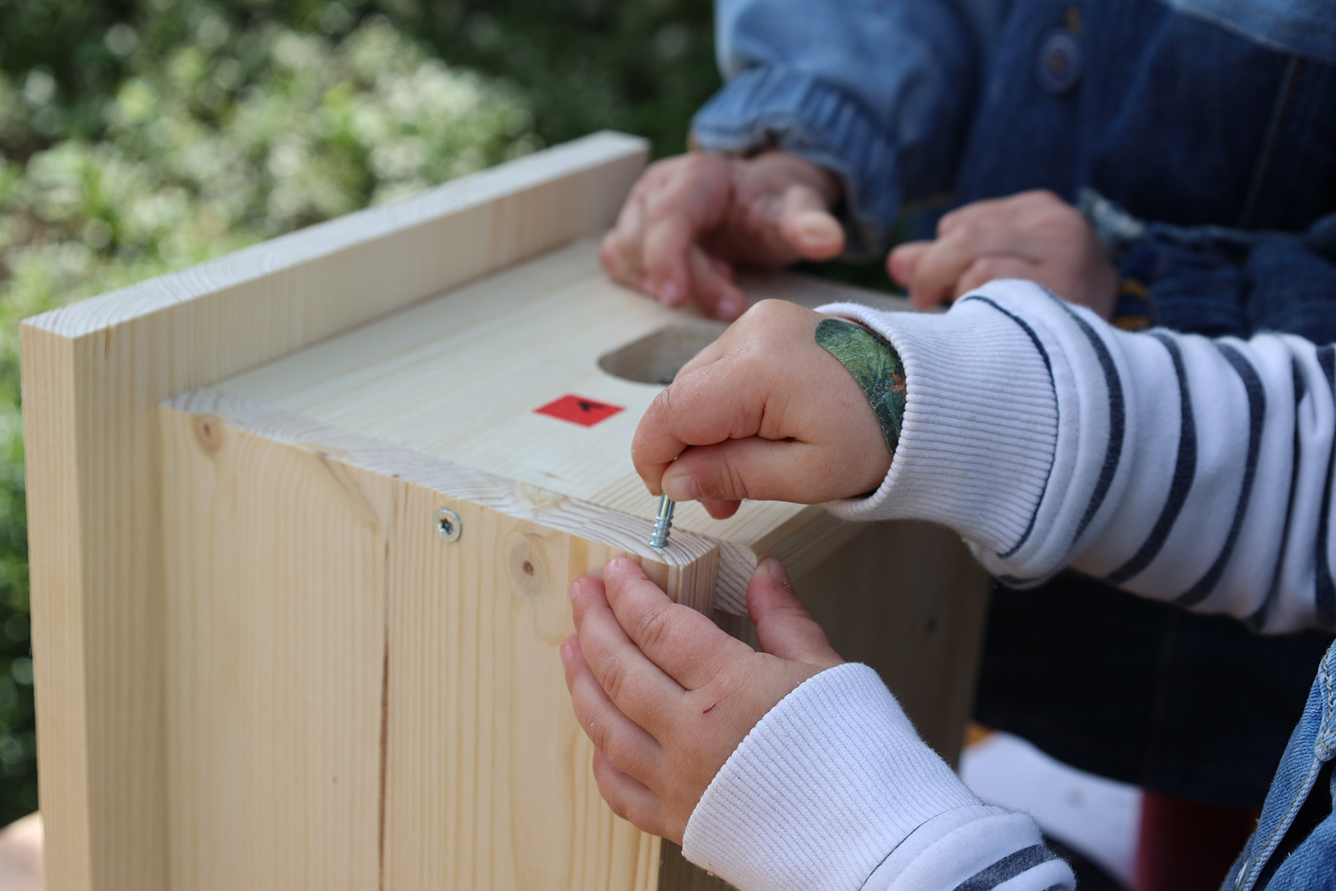 Nistkästen für den Mauersegler selber bauen. Mit Philip Danuser, Flur GmbH