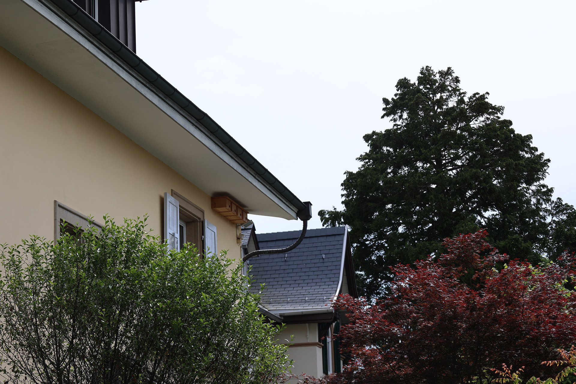 Rundgang: Nistplätze in der Nähe des Ortsmuseums
Mit Stefan Zoller, Orniplan AG
