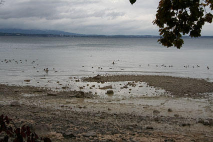 Wenig Wasser im Bodensee