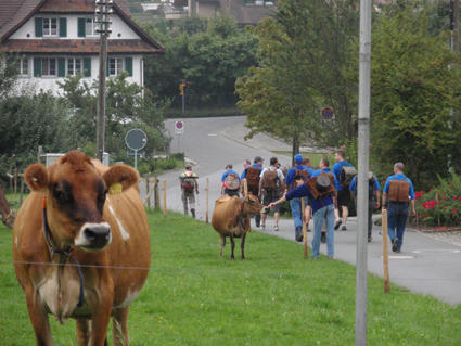 Vorbei an der Landwirtschaft
