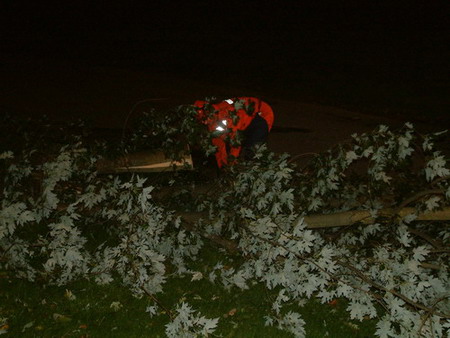 Umgestürzter Baum am Zersägen