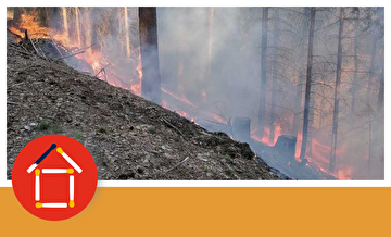 Waldbrand