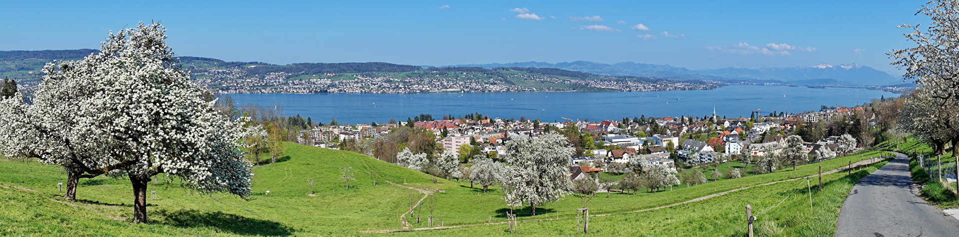 Frühling Wädenswil