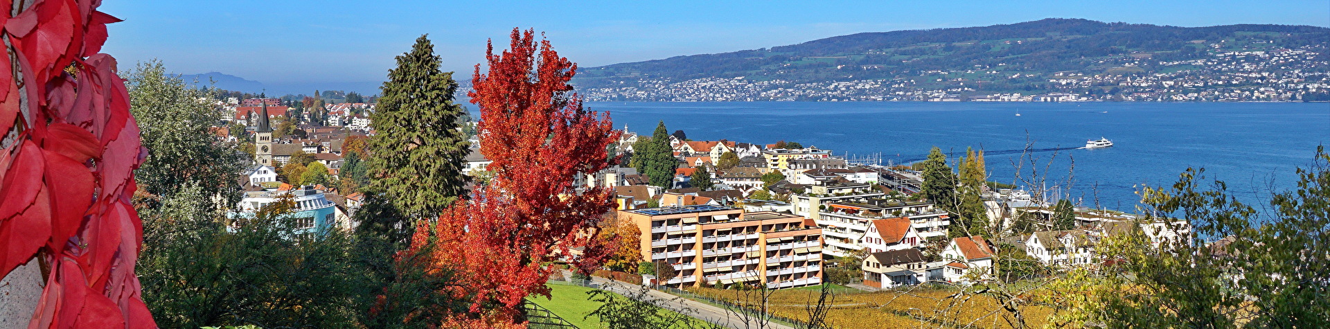 Herbst Aussicht von Schloss Wädenswil