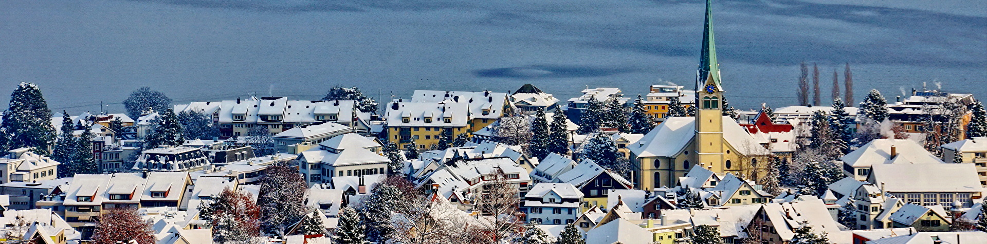 Wädenswil mit Schnee